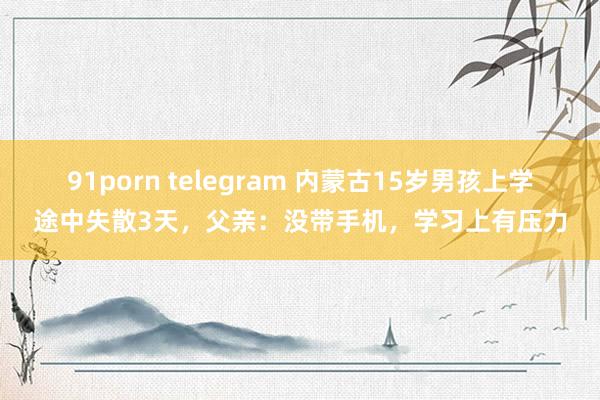 91porn telegram 内蒙古15岁男孩上学途中失散3天，父亲：没带手机，学习上有压力