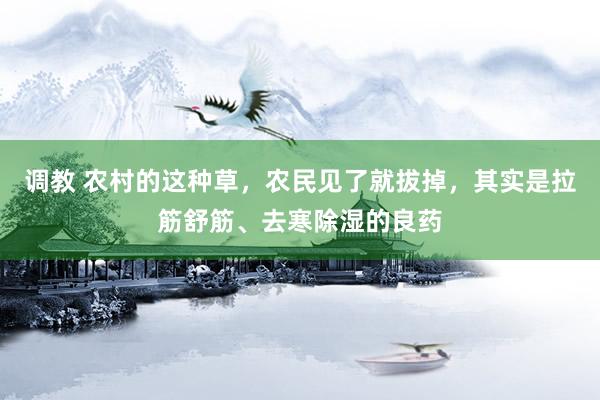 调教 农村的这种草，农民见了就拔掉，其实是拉筋舒筋、去寒除湿的良药