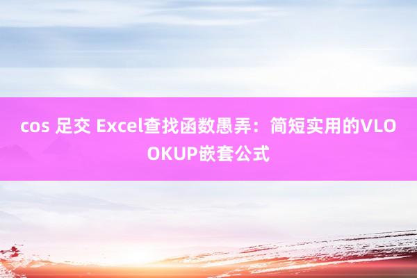 cos 足交 Excel查找函数愚弄：简短实用的VLOOKUP嵌套公式