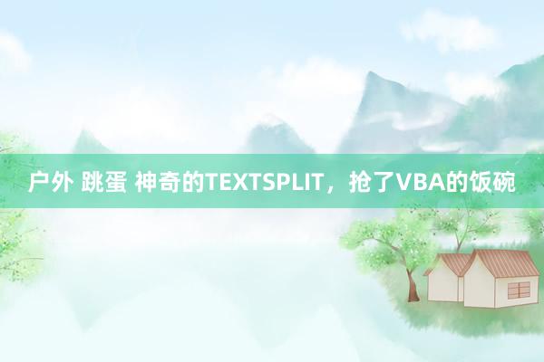 户外 跳蛋 神奇的TEXTSPLIT，抢了VBA的饭碗