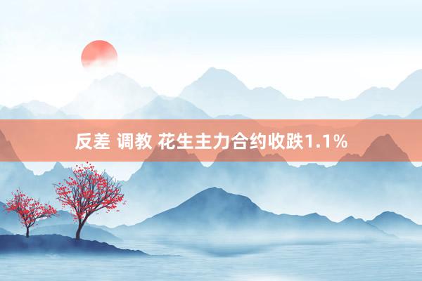 反差 调教 花生主力合约收跌1.1%