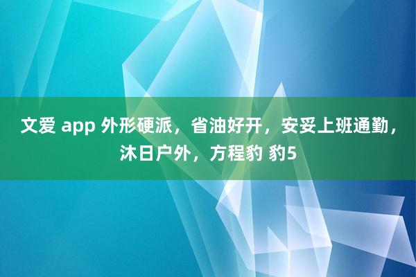 文爱 app 外形硬派，省油好开，安妥上班通勤，沐日户外，方程豹 豹5