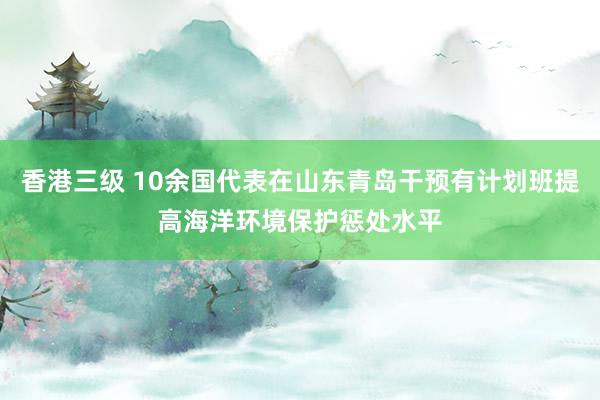 香港三级 10余国代表在山东青岛干预有计划班提高海洋环境保护惩处水平