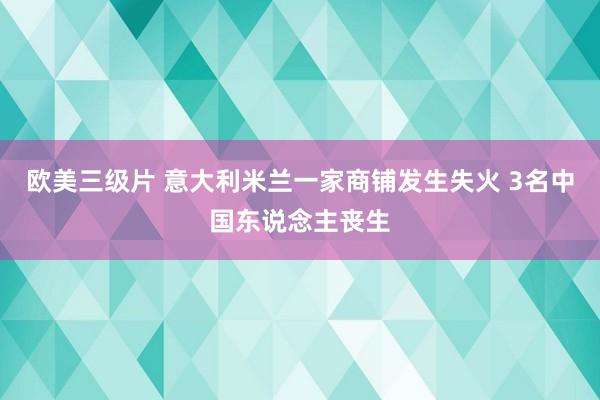 欧美三级片 意大利米兰一家商铺发生失火 3名中国东说念主丧生