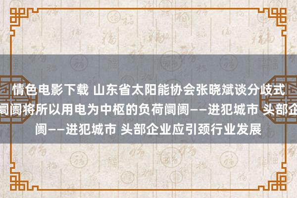 情色电影下载 山东省太阳能协会张晓斌谈分歧式光伏：下一个蓝海阛阓将所以用电为中枢的负荷阛阓——进犯城市 头部企业应引颈行业发展