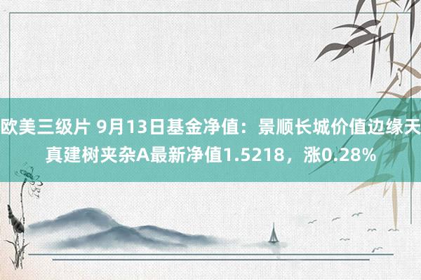 欧美三级片 9月13日基金净值：景顺长城价值边缘天真建树夹杂A最新净值1.5218，涨0.28%