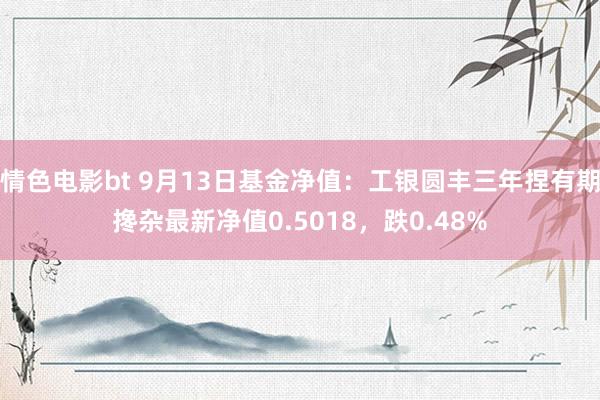 情色电影bt 9月13日基金净值：工银圆丰三年捏有期搀杂最新净值0.5018，跌0.48%