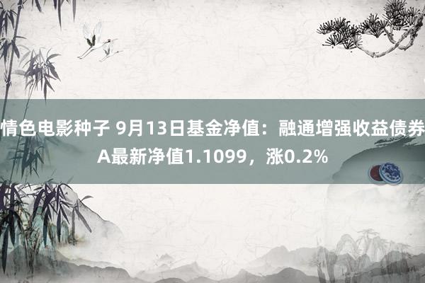 情色电影种子 9月13日基金净值：融通增强收益债券A最新净值1.1099，涨0.2%