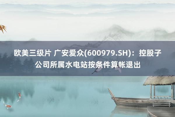 欧美三级片 广安爱众(600979.SH)：控股子公司所属水电站按条件算帐退出