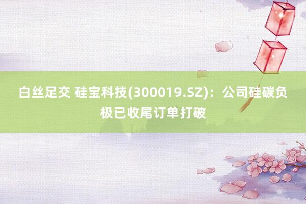 白丝足交 硅宝科技(300019.SZ)：公司硅碳负极已收尾订单打破