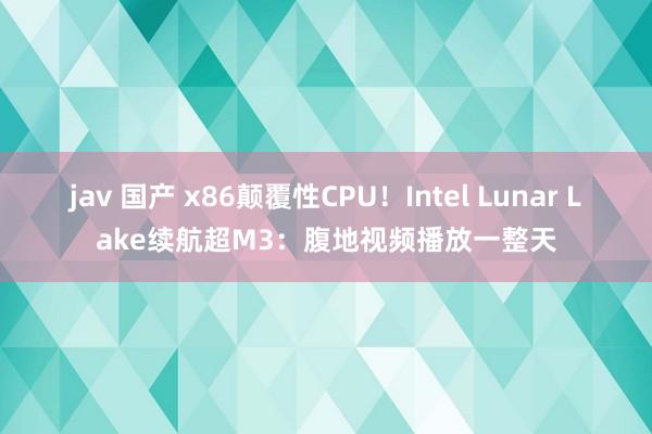 jav 国产 x86颠覆性CPU！Intel Lunar Lake续航超M3：腹地视频播放一整天