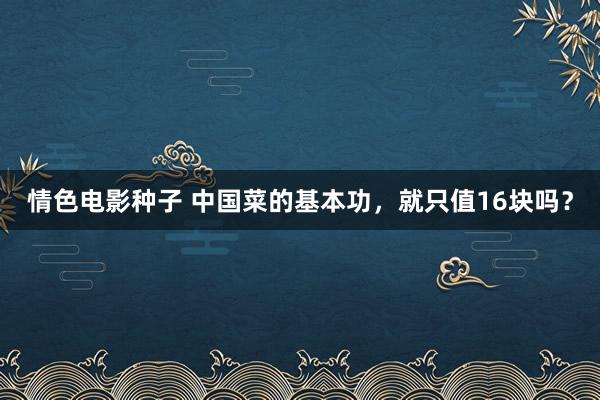 情色电影种子 中国菜的基本功，就只值16块吗？