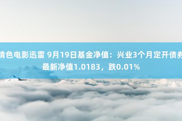 情色电影迅雷 9月19日基金净值：兴业3个月定开债券最新净值1.0183，跌0.01%