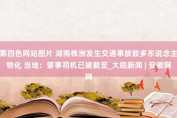 第四色网站图片 湖南株洲发生交通事故致多东说念主物化 当地：肇事司机已被截至_大皖新闻 | 安徽网