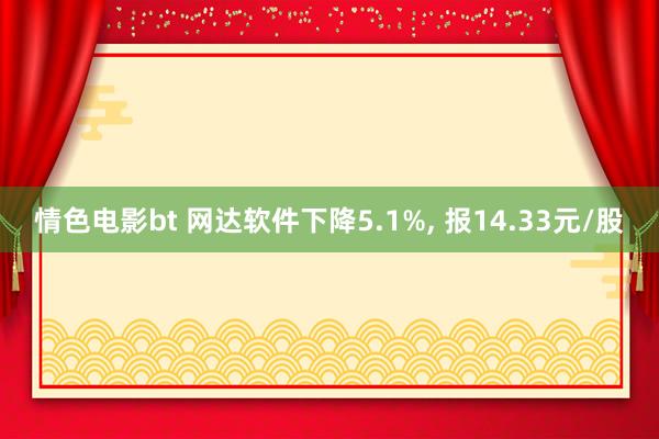 情色电影bt 网达软件下降5.1%， 报14.33元/股