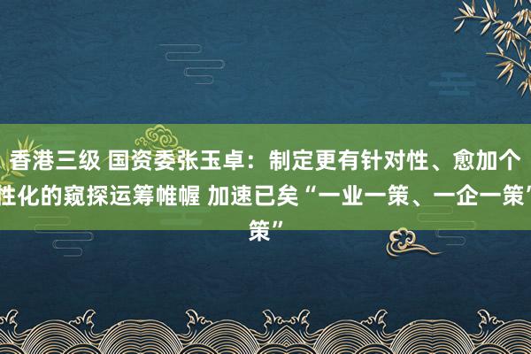 香港三级 国资委张玉卓：制定更有针对性、愈加个性化的窥探运筹帷幄 加速已矣“一业一策、一企一策”