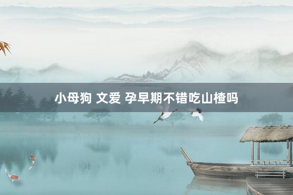 小母狗 文爱 孕早期不错吃山楂吗