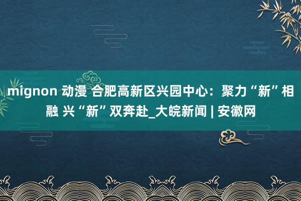 mignon 动漫 合肥高新区兴园中心：聚力“新”相融 兴“新”双奔赴_大皖新闻 | 安徽网