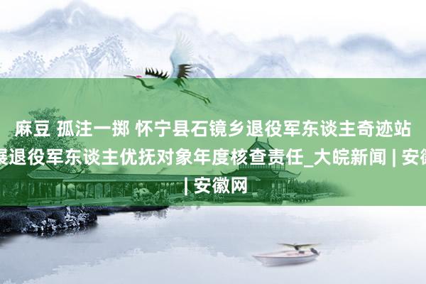 麻豆 孤注一掷 怀宁县石镜乡退役军东谈主奇迹站开展退役军东谈主优抚对象年度核查责任_大皖新闻 | 安徽网