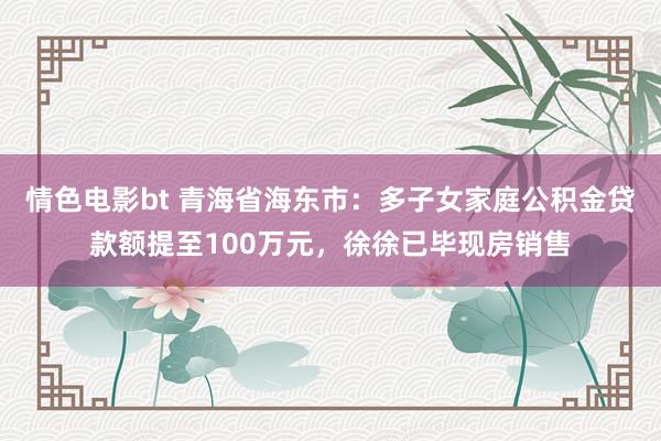 情色电影bt 青海省海东市：多子女家庭公积金贷款额提至100万元，徐徐已毕现房销售