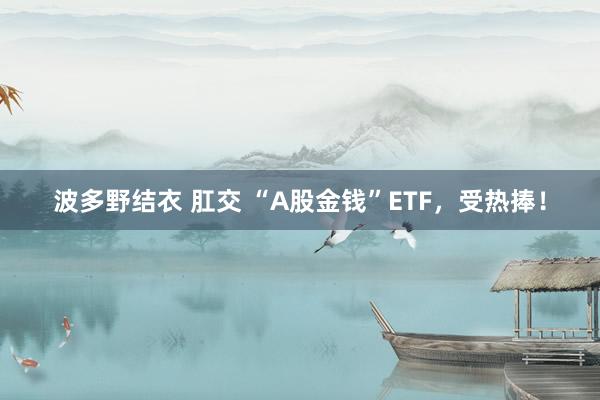 波多野结衣 肛交 “A股金钱”ETF，受热捧！