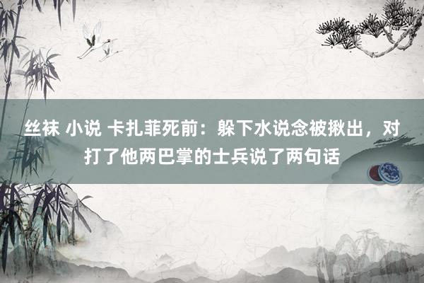 丝袜 小说 卡扎菲死前：躲下水说念被揪出，对打了他两巴掌的士兵说了两句话