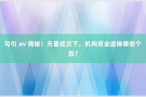 勾引 av 揭秘！天量成交下，机构资金追捧哪些个股？