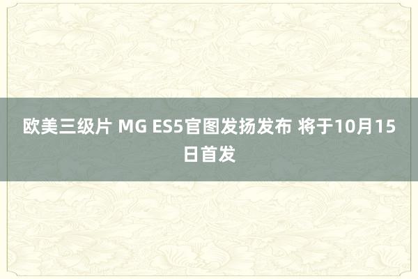 欧美三级片 MG ES5官图发扬发布 将于10月15日首发