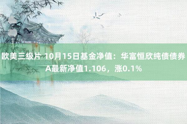 欧美三级片 10月15日基金净值：华富恒欣纯债债券A最新净值1.106，涨0.1%