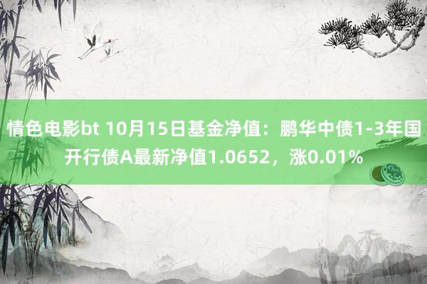 情色电影bt 10月15日基金净值：鹏华中债1-3年国开行债A最新净值1.0652，涨0.01%