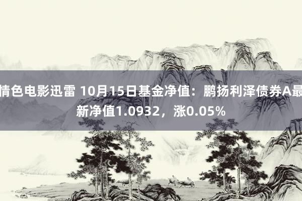 情色电影迅雷 10月15日基金净值：鹏扬利泽债券A最新净值1.0932，涨0.05%