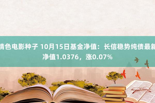 情色电影种子 10月15日基金净值：长信稳势纯债最新净值1.0376，涨0.07%