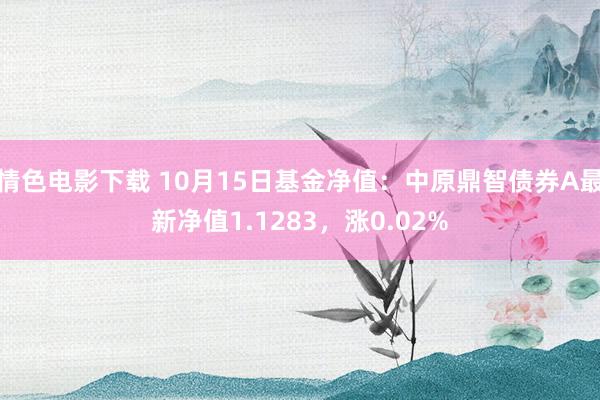 情色电影下载 10月15日基金净值：中原鼎智债券A最新净值1.1283，涨0.02%