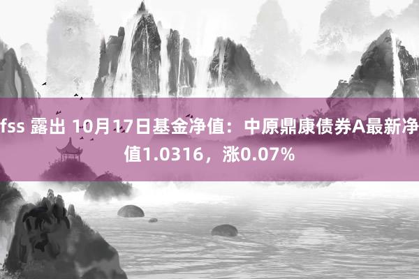 fss 露出 10月17日基金净值：中原鼎康债券A最新净值1.0316，涨0.07%