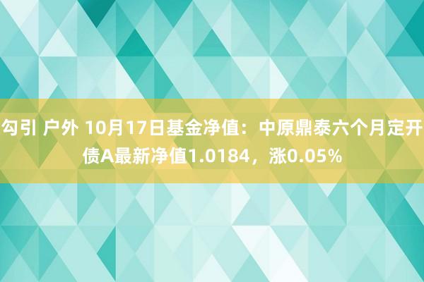 勾引 户外 10月17日基金净值：中原鼎泰六个月定开债A最新净值1.0184，涨0.05%