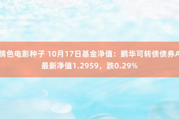 情色电影种子 10月17日基金净值：鹏华可转债债券A最新净值1.2959，跌0.29%