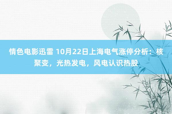 情色电影迅雷 10月22日上海电气涨停分析：核聚变，光热发电，风电认识热股