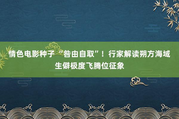 情色电影种子 “咎由自取”！行家解读朔方海域生僻极度飞腾位征象