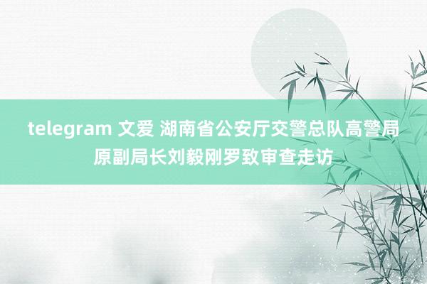 telegram 文爱 湖南省公安厅交警总队高警局原副局长刘毅刚罗致审查走访