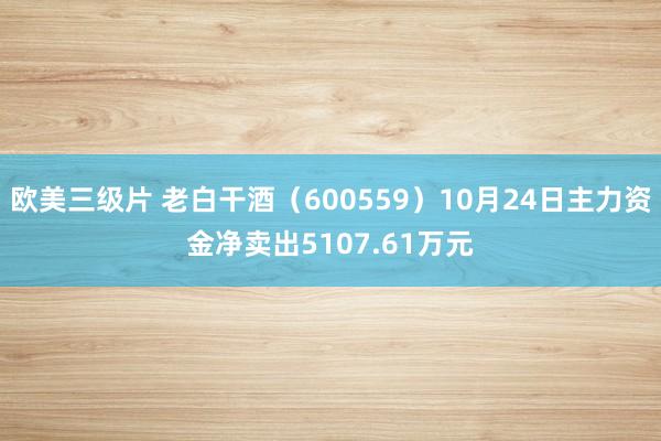 欧美三级片 老白干酒（600559）10月24日主力资金净卖出5107.61万元