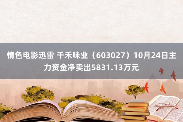 情色电影迅雷 千禾味业（603027）10月24日主力资金净卖出5831.13万元