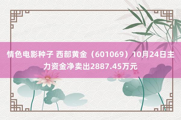 情色电影种子 西部黄金（601069）10月24日主力资金净卖出2887.45万元