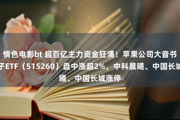 情色电影bt 超百亿主力资金狂涌！苹果公司大音书，电子ETF（515260）盘中涨超2%，中科晨曦、中国长城涨停