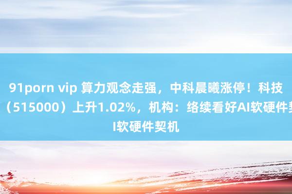 91porn vip 算力观念走强，中科晨曦涨停！科技ETF（515000）上升1.02%，机构：络续看好AI软硬件契机