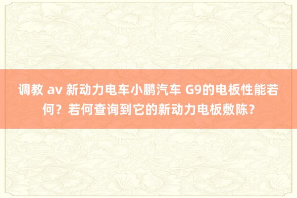 调教 av 新动力电车小鹏汽车 G9的电板性能若何？若何查询到它的新动力电板敷陈？