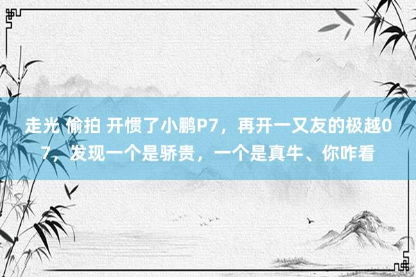 走光 偷拍 开惯了小鹏P7，再开一又友的极越07，发现一个是骄贵，一个是真牛、你咋看