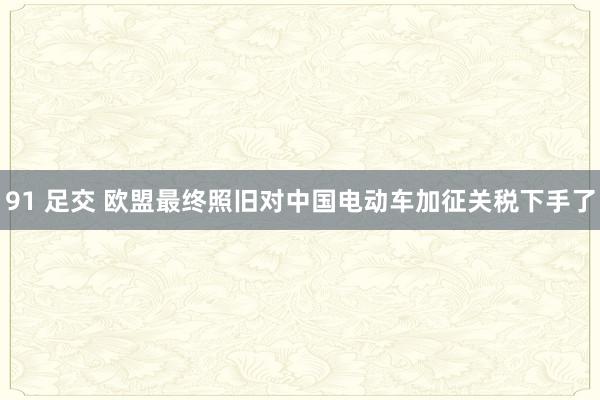 91 足交 欧盟最终照旧对中国电动车加征关税下手了