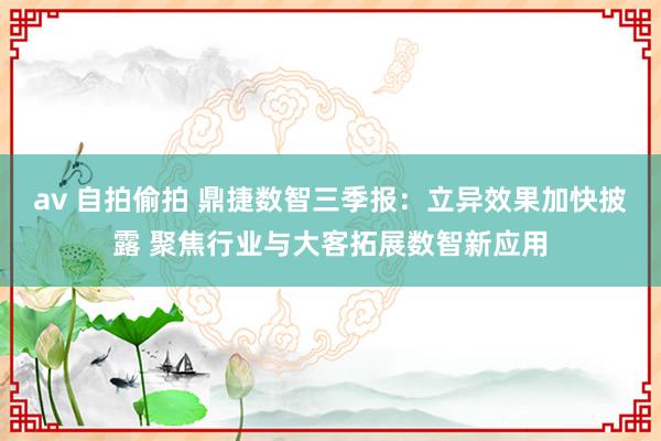 av 自拍偷拍 鼎捷数智三季报：立异效果加快披露 聚焦行业与大客拓展数智新应用