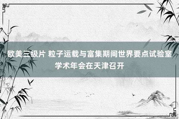 欧美三级片 粒子运载与富集期间世界要点试验室学术年会在天津召开