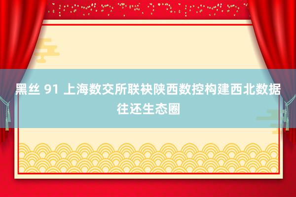 黑丝 91 上海数交所联袂陕西数控构建西北数据往还生态圈